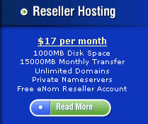 Reseller Hosting